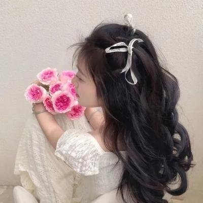 换嫁后被贝勒宠上天